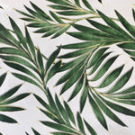 A white plastic fabric with large green palm leaves all over. Kayes Textiles Fabrics