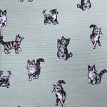 Cotton Canvas - Shabby Cats - £10.50 Per Metre - Sold By Half Metre