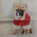 Remnant 141103 Frenchie Santa Panel ( Small hole on panel ) 45cm x 45cm approx