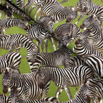 100% Cotton  - Zebras - £10.00 per metre - Sold by half metre