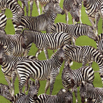 100% Cotton  - Zebras - £10.00 per metre - Sold by half metre