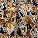 100% Cotton  - Tigers - £10.00 per metre - Sold by half metre