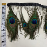 Peacock Feather Trim