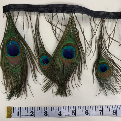 Peacock Feather Trim