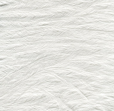Marabou Feather Tri m - White